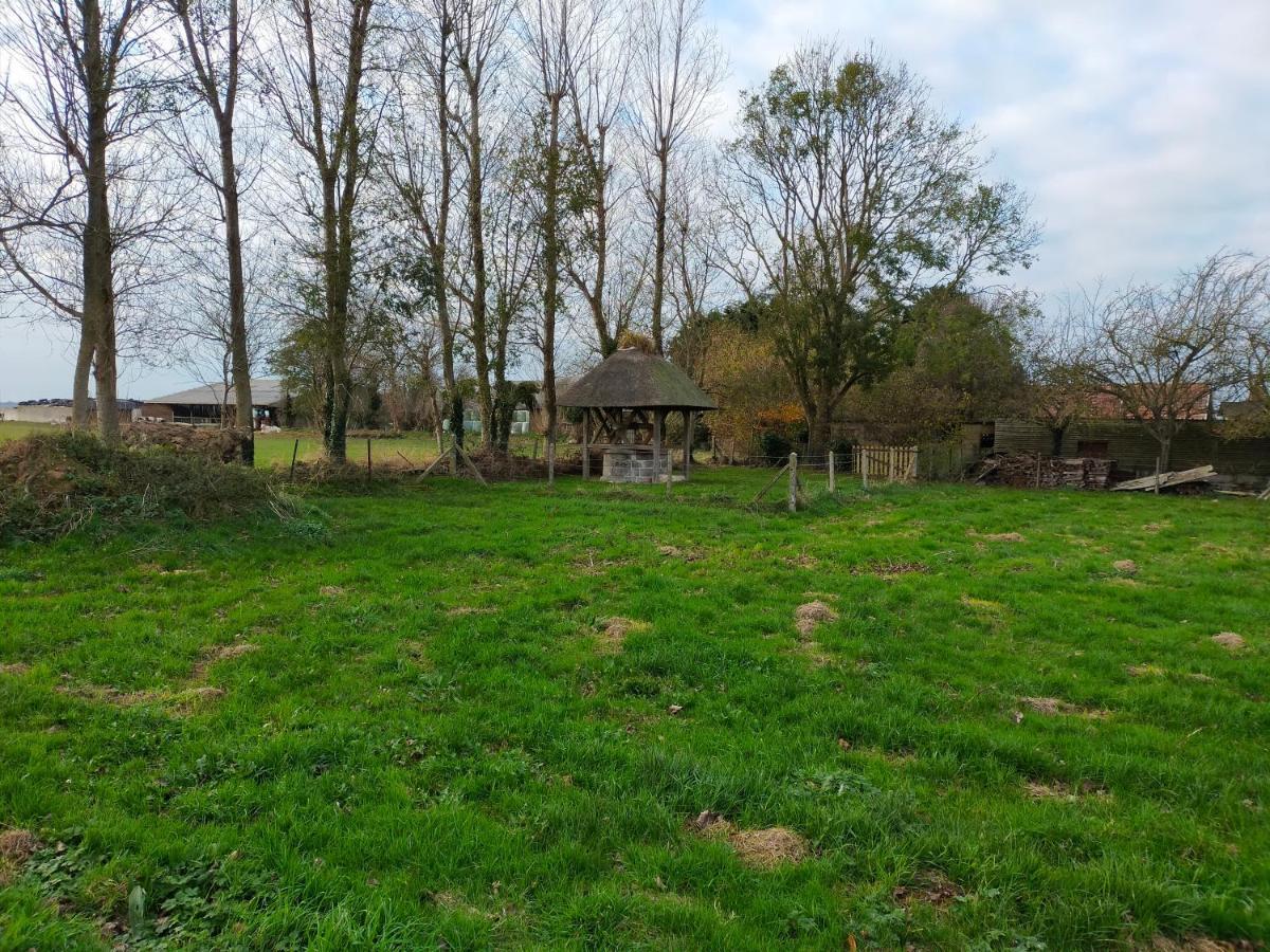 Maison Individuelle Neuve Plein Pied Avec Terrasse Et Jardin Clos 10Minutes A Pied De La Plage Quiberville Eksteriør billede